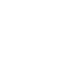 Prodigy Montessori logo